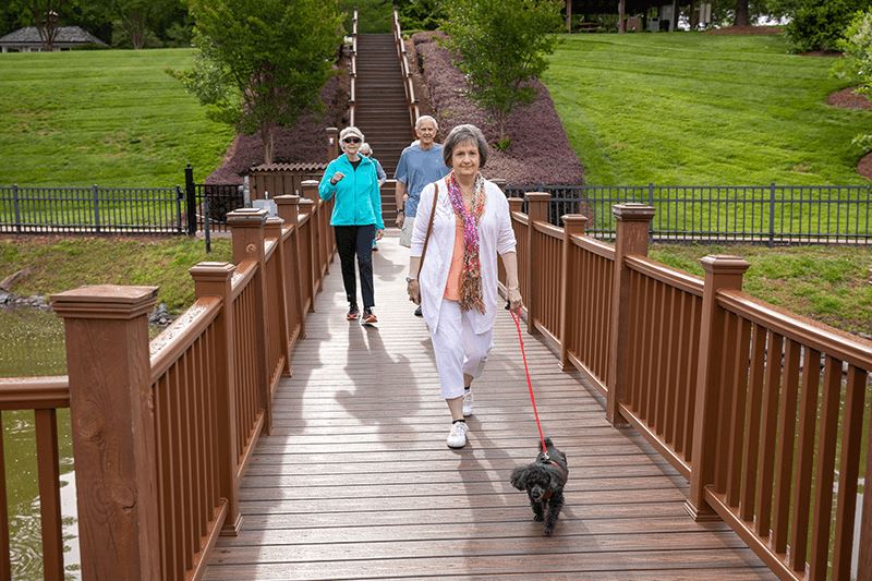 PPV Dog Walking.png